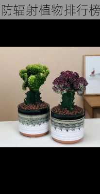 防辐射植物排行榜