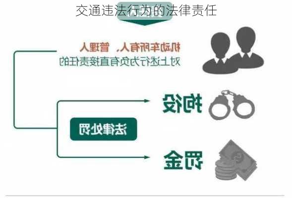 交通违法行为的法律责任