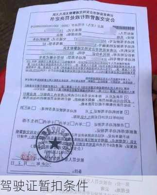 驾驶证暂扣条件