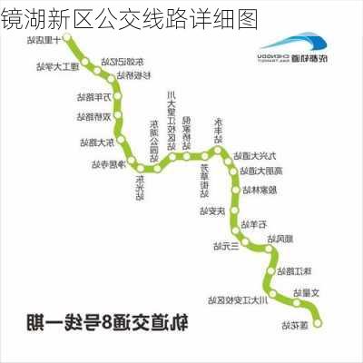 镜湖新区公交线路详细图