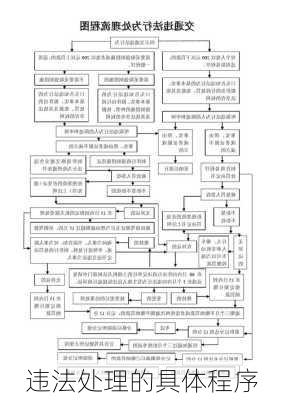 违法处理的具体程序