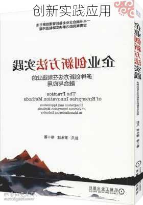 创新实践应用