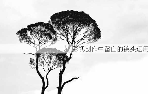 影视创作中留白的镜头运用