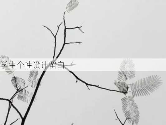 学生个性设计留白