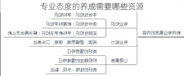 专业态度的养成需要哪些资源