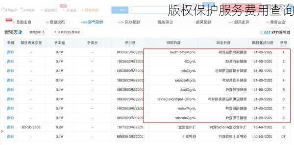 版权保护服务费用查询