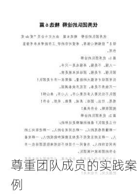 尊重团队成员的实践案例
