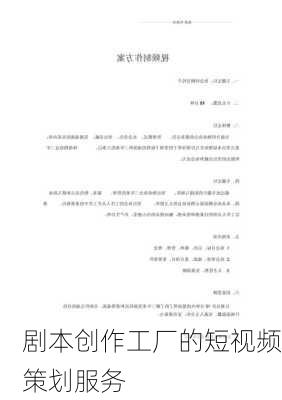 剧本创作工厂的短视频策划服务
