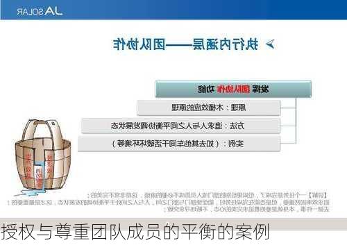 授权与尊重团队成员的平衡的案例