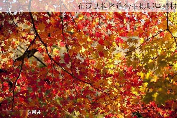 布满式构图适合拍摄哪些题材
