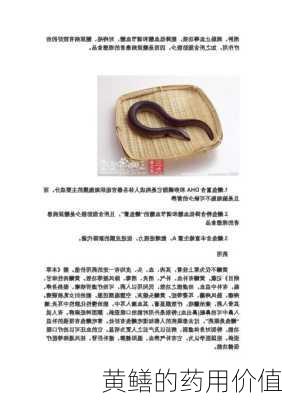 黄鳝的药用价值