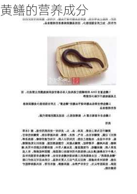 黄鳝的营养成分