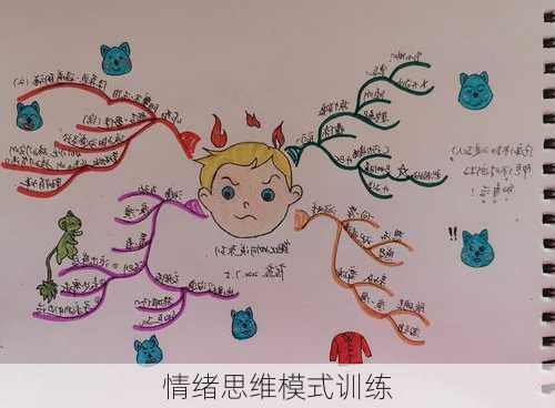 情绪思维模式训练