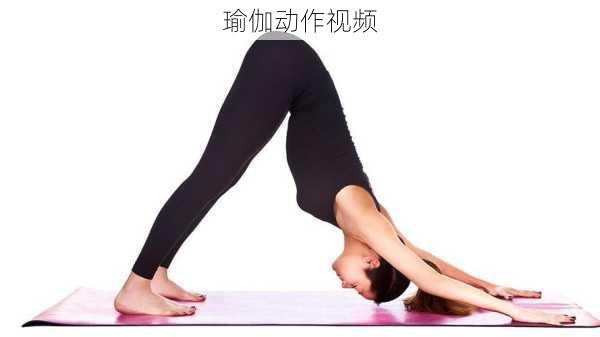 瑜伽动作视频