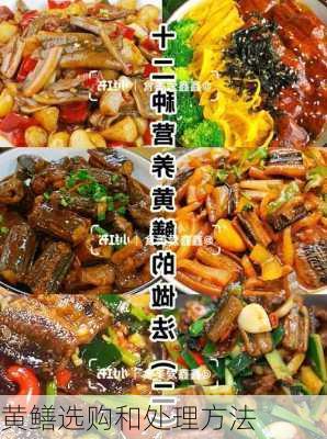 黄鳝选购和处理方法
