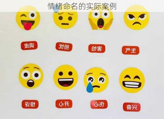情绪命名的实际案例
