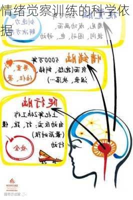 情绪觉察训练的科学依据
