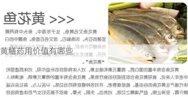 黄鳝药用价值有哪些
