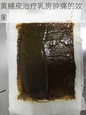 黄鳝皮治疗乳房肿痛的效果