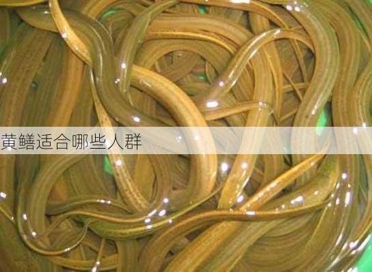 黄鳝适合哪些人群