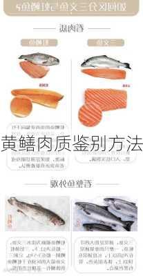 黄鳝肉质鉴别方法