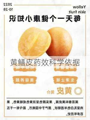 黄鳝皮药效科学依据