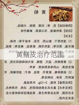 黄鳝皮治疗范围