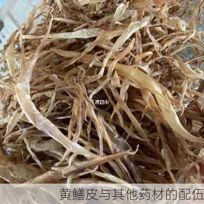 黄鳝皮与其他药材的配伍