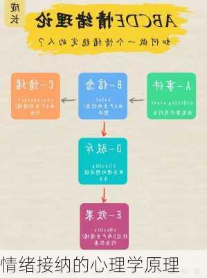 情绪接纳的心理学原理