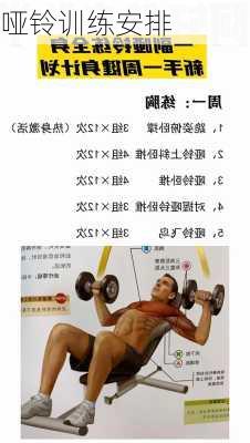 哑铃训练安排