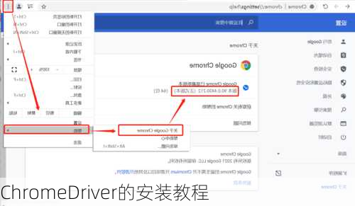 ChromeDriver的安装教程