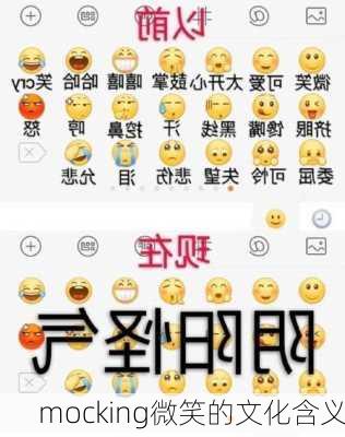 mocking微笑的文化含义