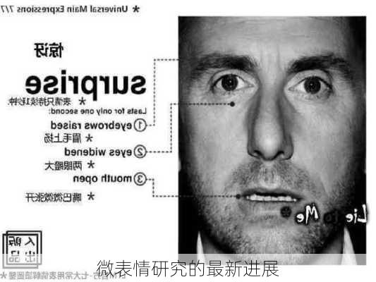 微表情研究的最新进展