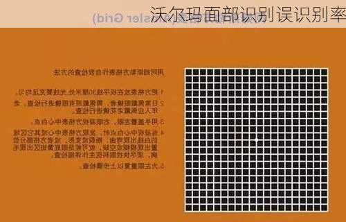 沃尔玛面部识别误识别率