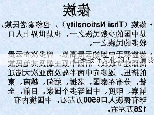 壮傣服饰文化的历史演变