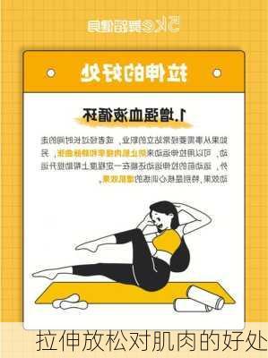 拉伸放松对肌肉的好处