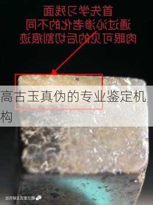 高古玉真伪的专业鉴定机构
