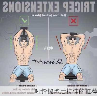 哑铃锻炼后拉伸的推荐
