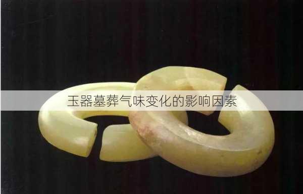 玉器墓葬气味变化的影响因素