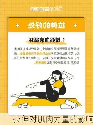 拉伸对肌肉力量的影响