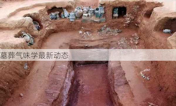 墓葬气味学最新动态