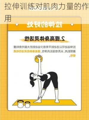 拉伸训练对肌肉力量的作用