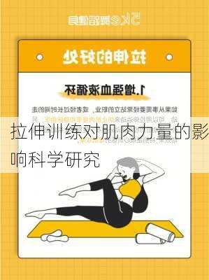 拉伸训练对肌肉力量的影响科学研究