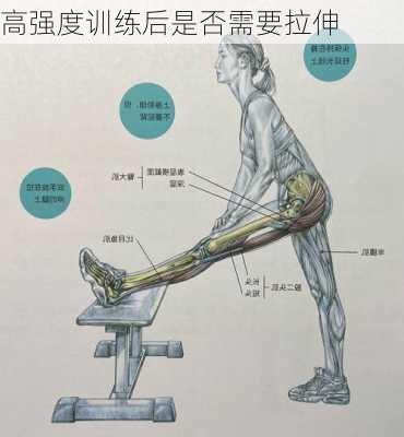 高强度训练后是否需要拉伸
