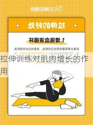 拉伸训练对肌肉增长的作用