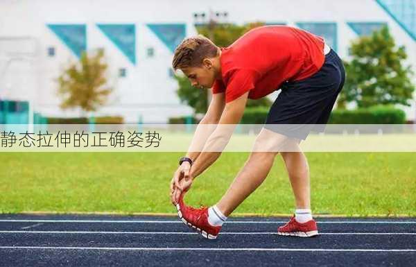 静态拉伸的正确姿势