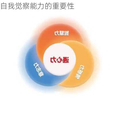 自我觉察能力的重要性