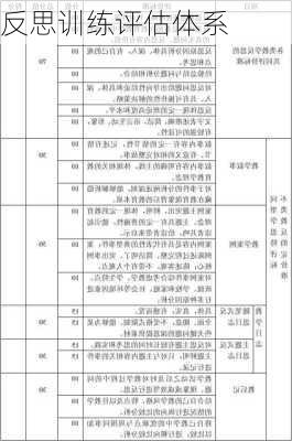 反思训练评估体系