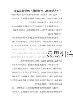 反思训练