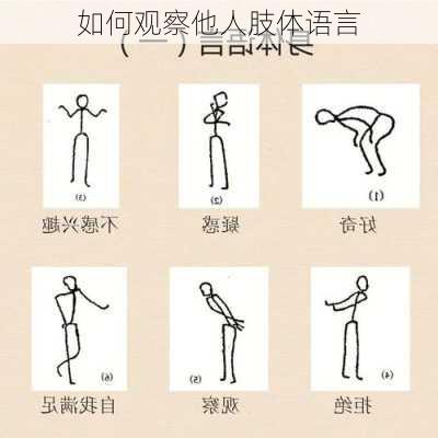 如何观察他人肢体语言